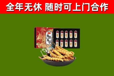 贺兰县回收冬虫夏草价格